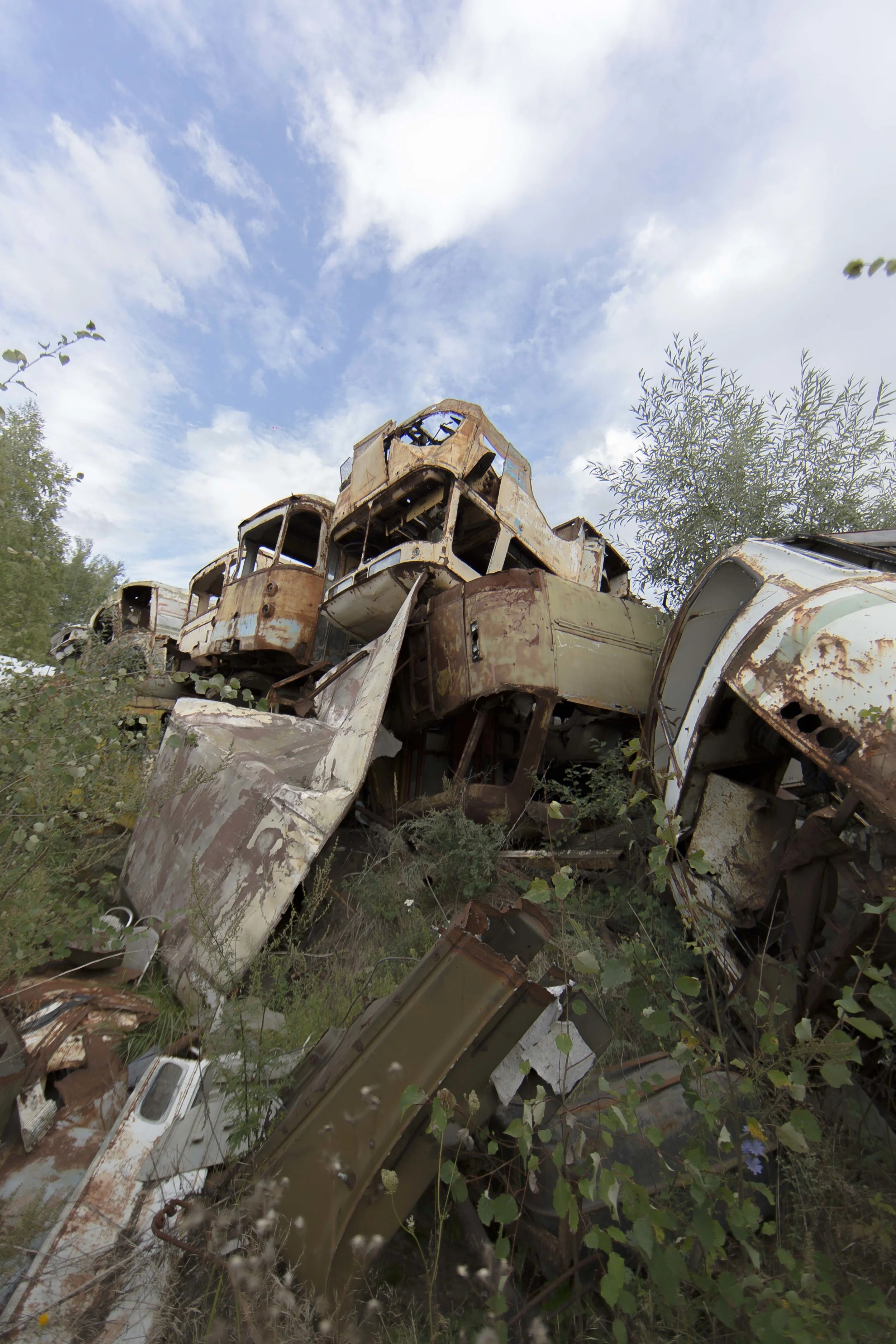 The Vehicle Graveyard