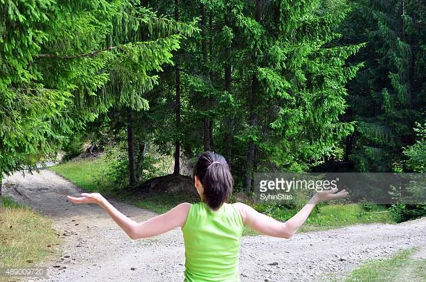 Photo by SyhinStas/iStock / Getty Images