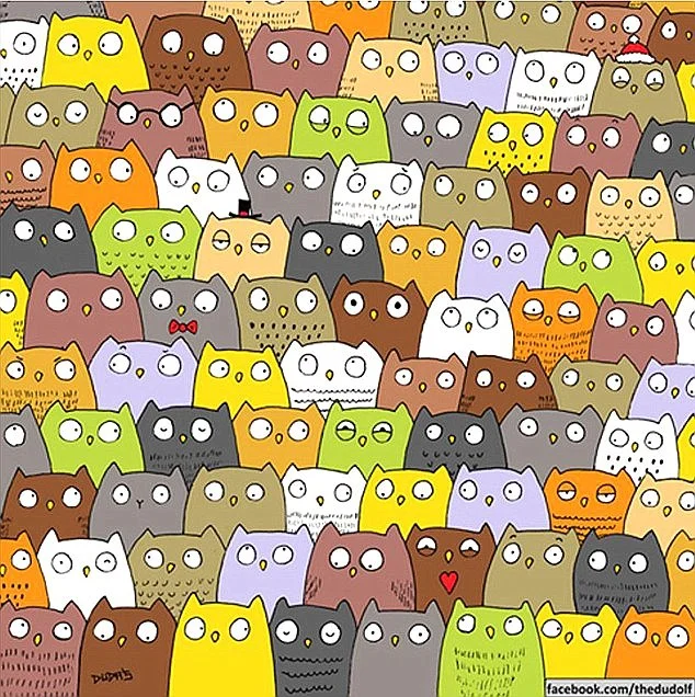 Find Me If You Can Courses Workshops Talks Camps Shows Adam Khoo Youth Training