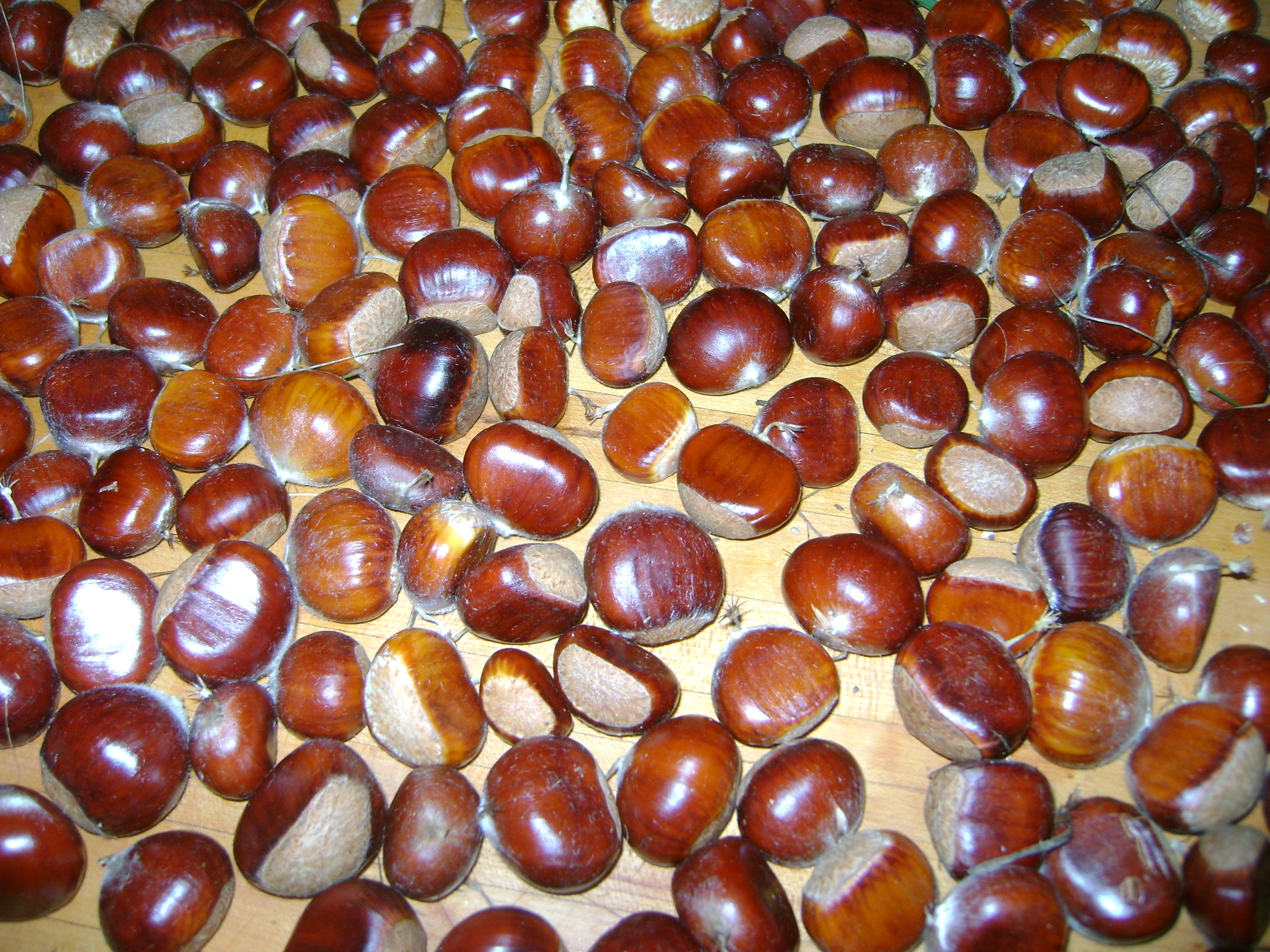 chestnuts counter.JPG