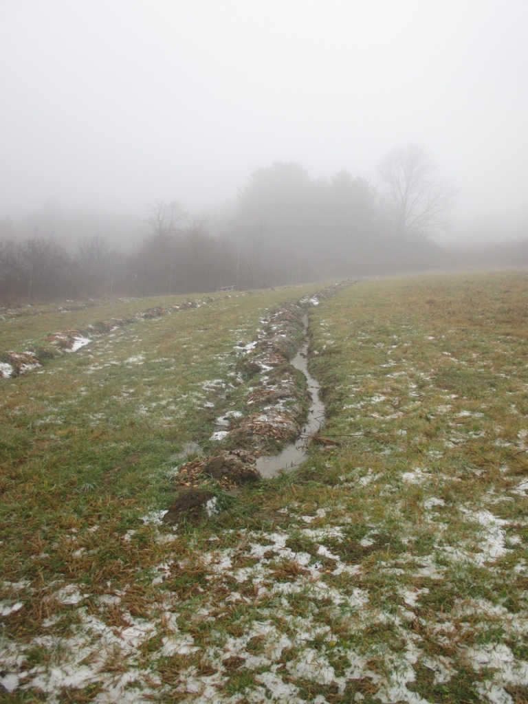 Swale and Berm built along the contour line with a one bottom plow