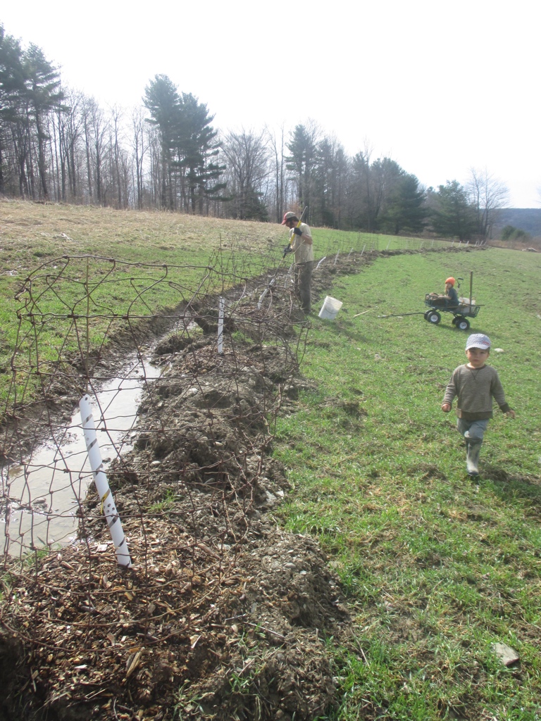 Notice the water caught on the uphill side.