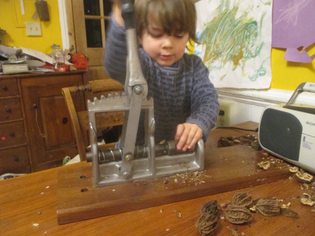 The Master Nut Cracker in Action