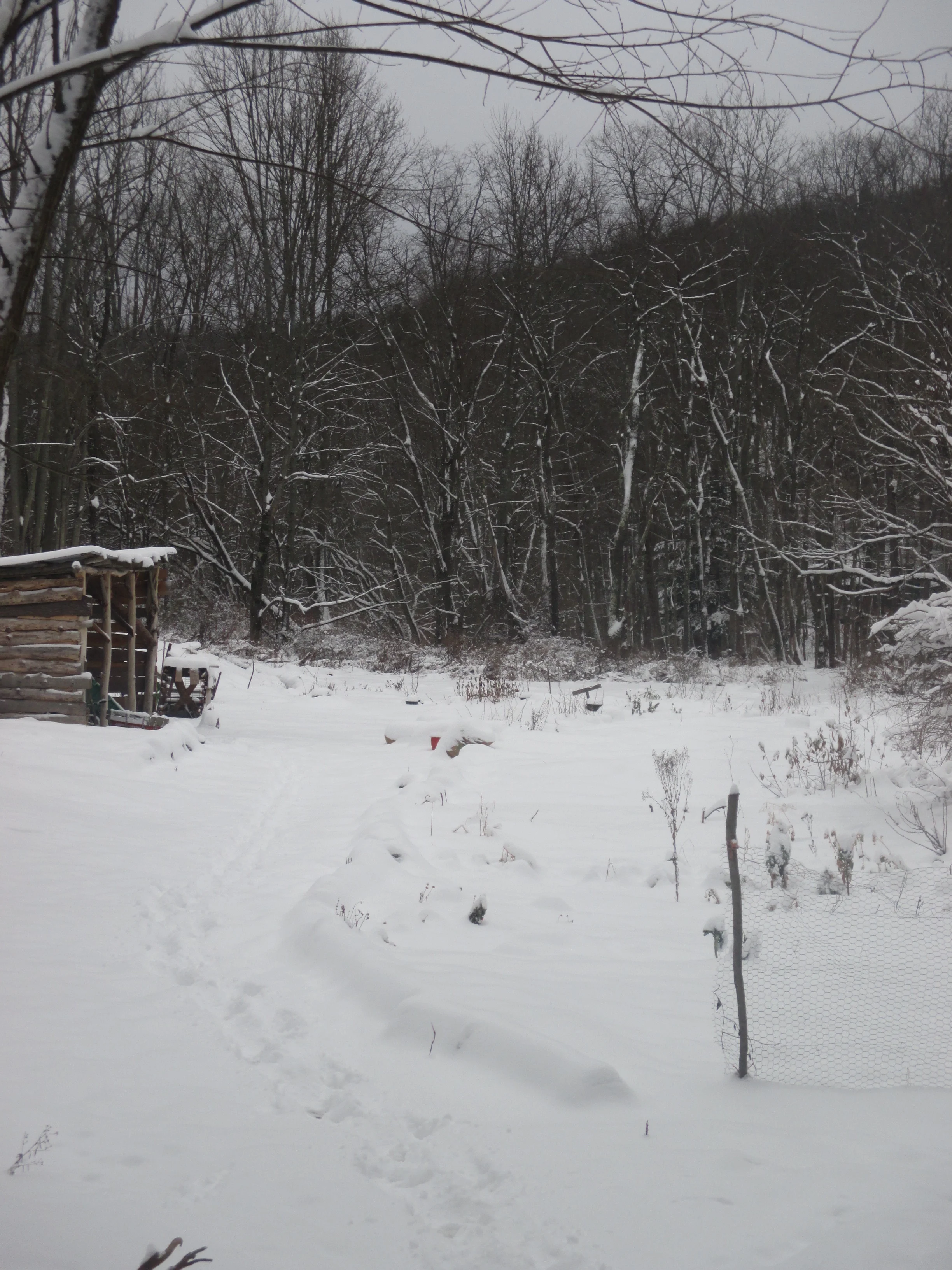 winternursery.jpg