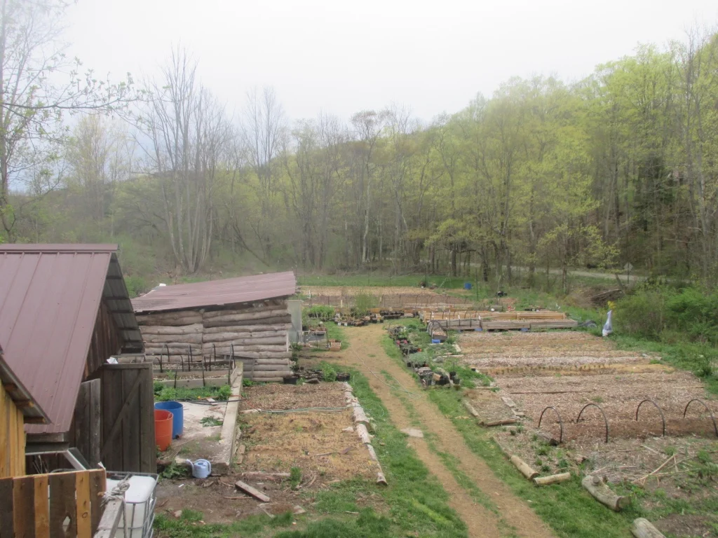 nursery above view.jpg