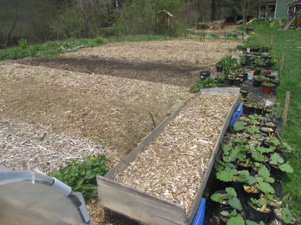 Starting A Nursery Business Twisted Tree Farm Starting A Nursery Business Twisted