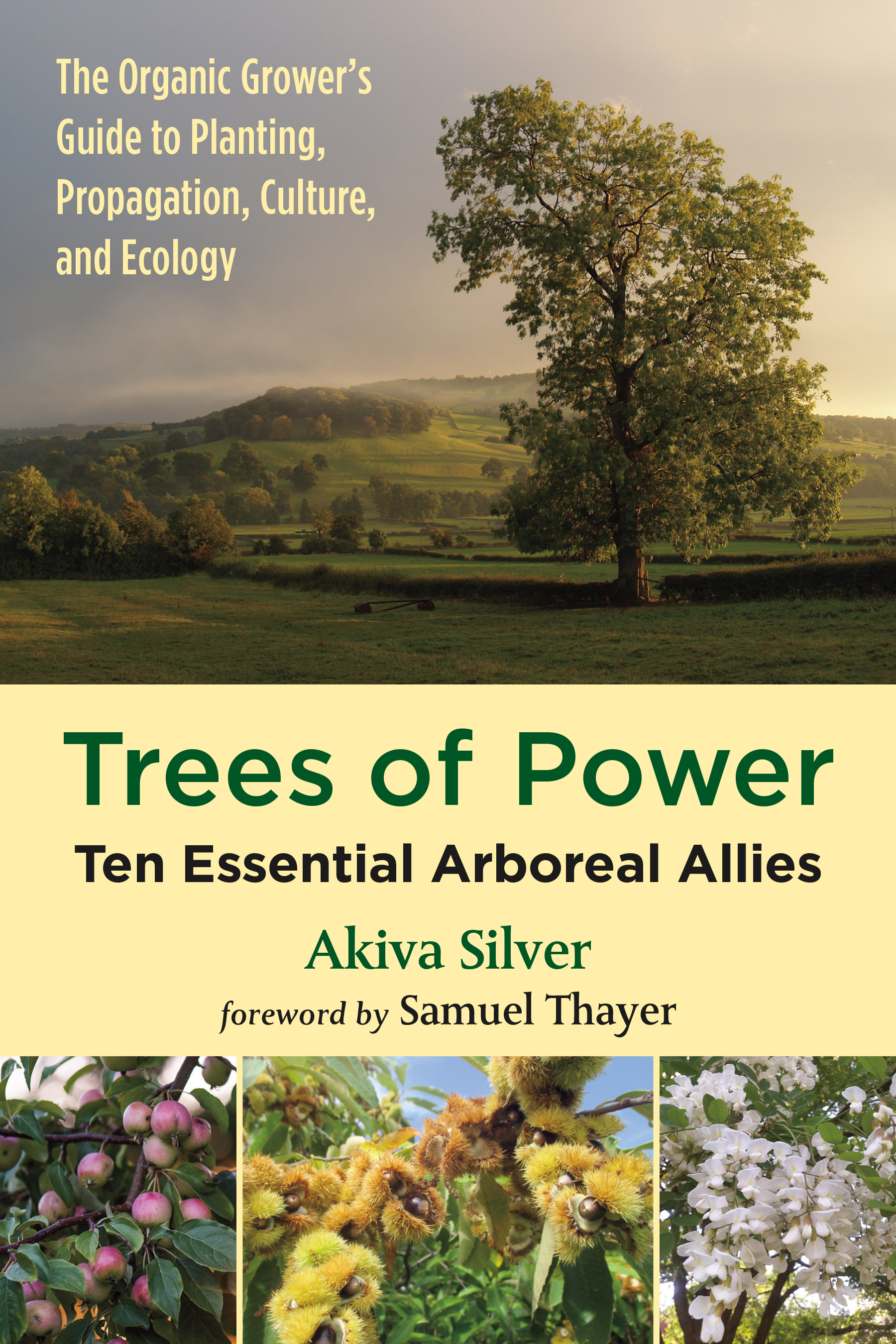 TreesPower_cover[1].jpg