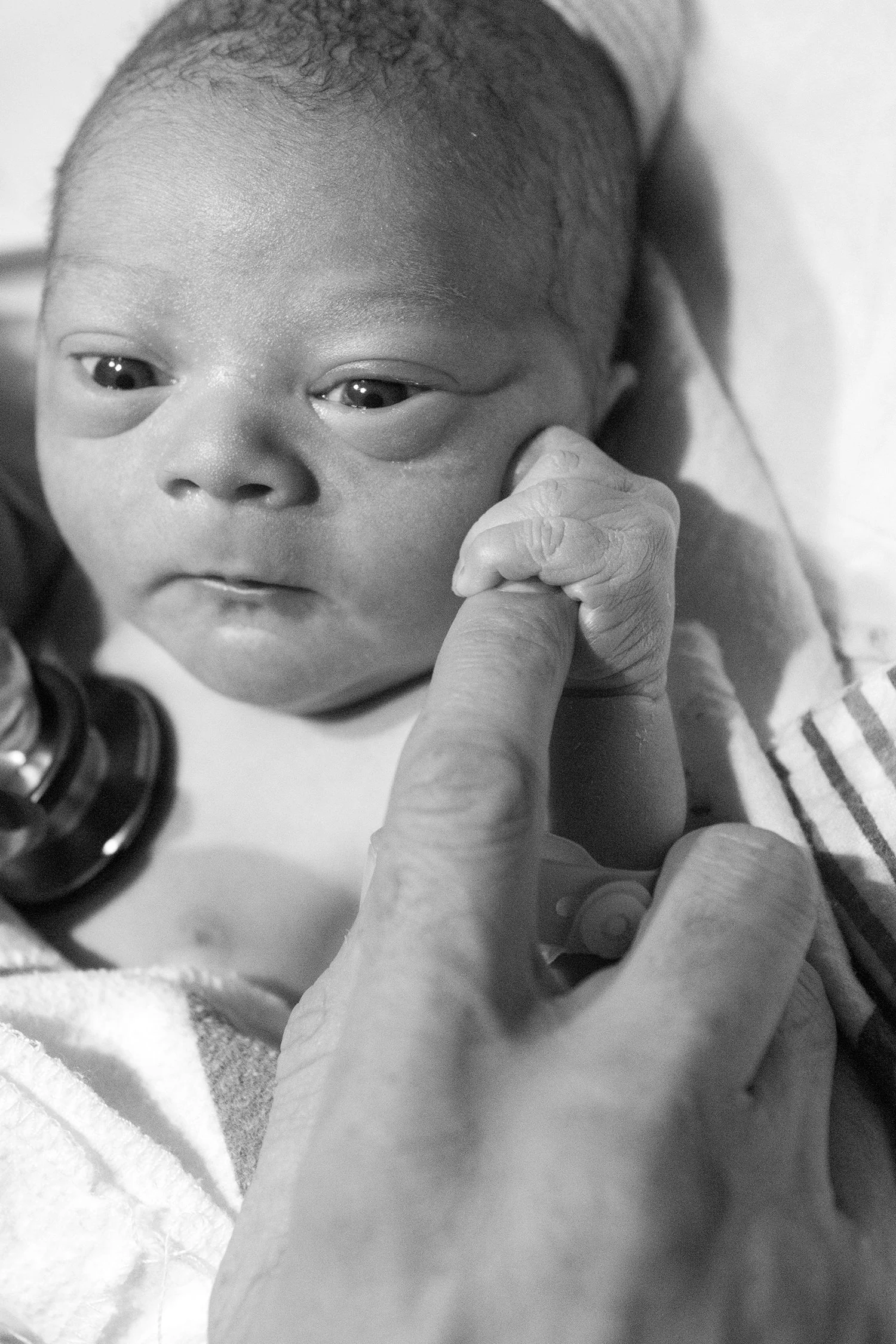 Tiberbirth_368.jpg