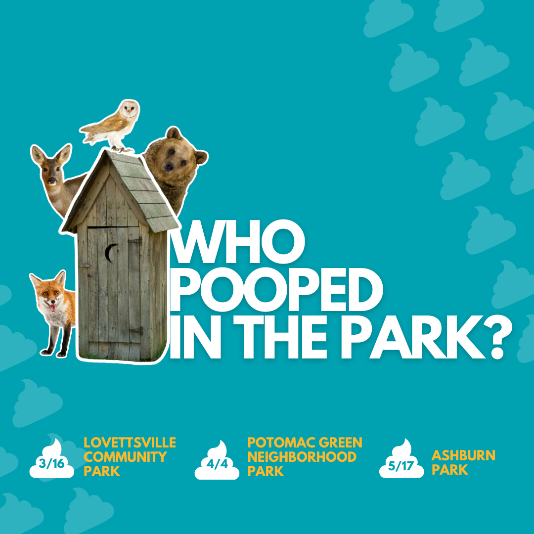 Social and Constant Contact - Water.png