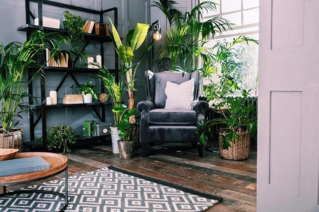 Another test shot from Monday, I had a lot of fun and learnt a lot. Thanks to @kuba_kubs shot with the A7RII and sigma art 24-35mm #plants #sony #a7rii #sigma #chair #shelves #room #arri