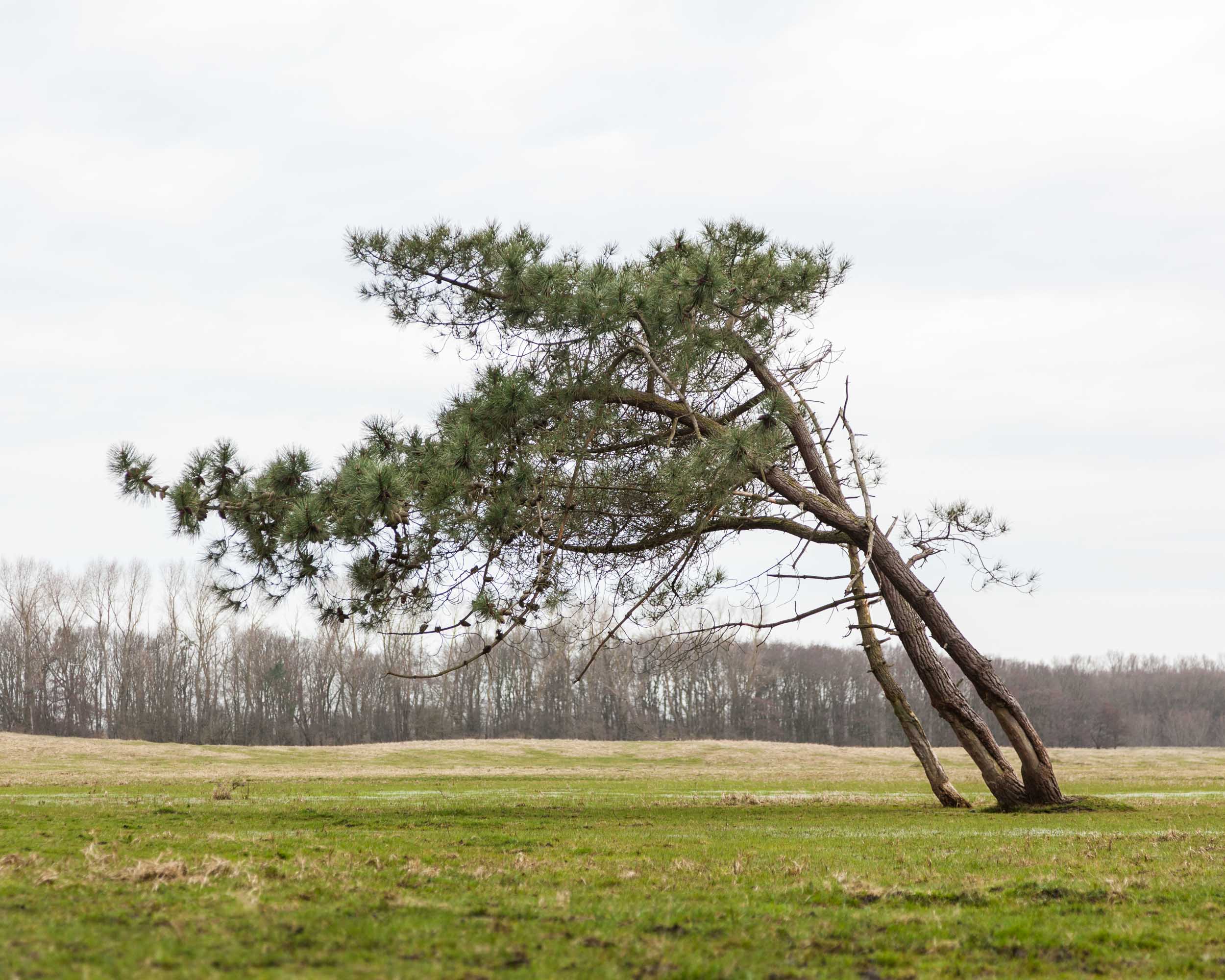  Zwin Nature Parc, Belgium 