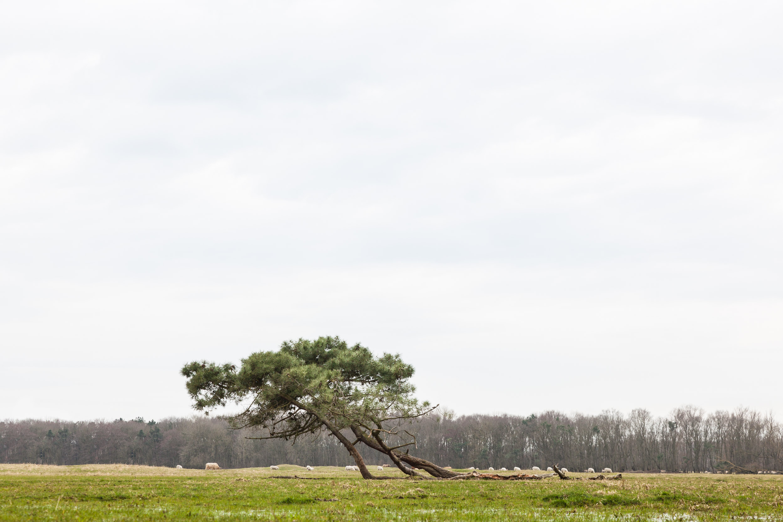  Zwin Nature Parc, Belgium 