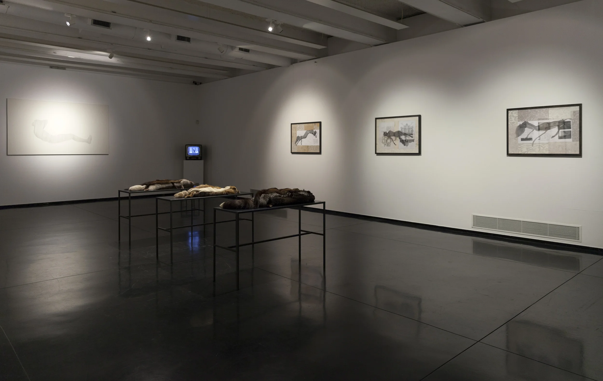 Spaziani_Febbraio 2016_MACRO_installation view_2.jpg