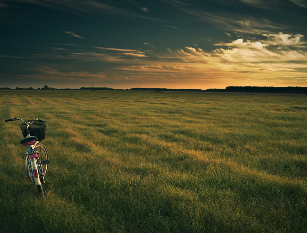 photo with bike and field .png