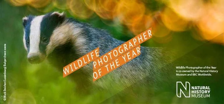 Wildlife Photographer Of The Year