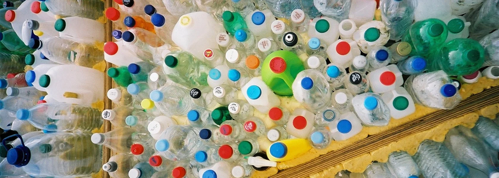British Science Association: Can we turn the plastic tide before it’s too late?