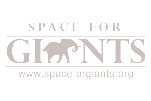space for giants.png