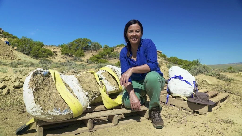 Secrets of the Jurassic Dinosaurs