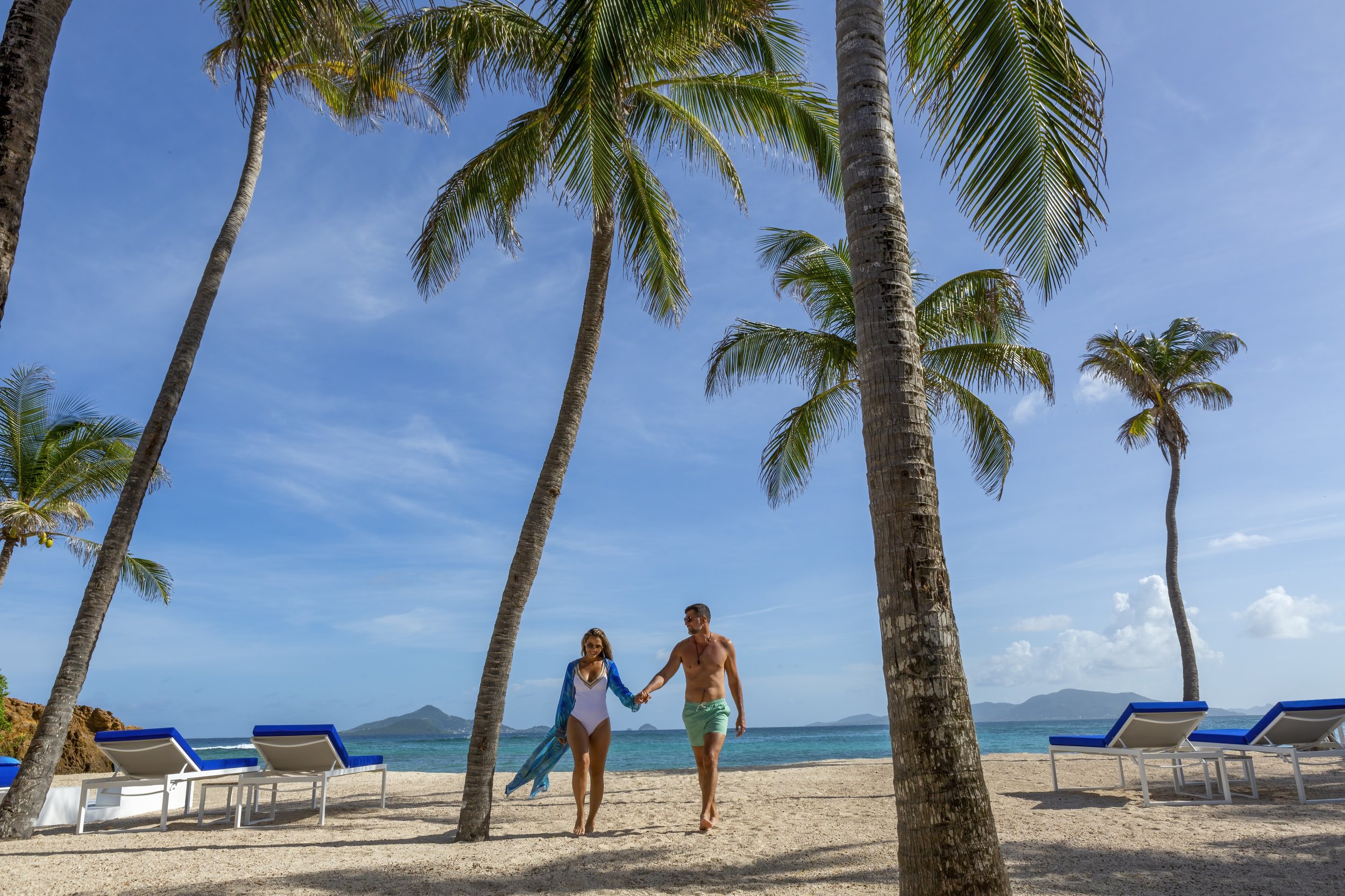 PALM_6410_edit 300dpi.jpg