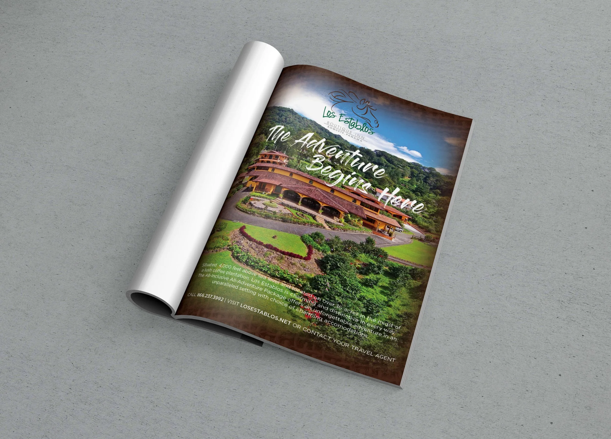 MAGAZINE_MOCKUP1.jpg