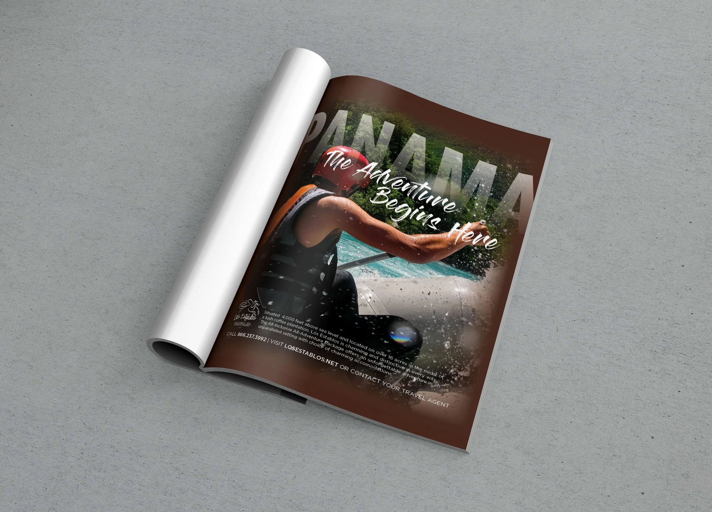 MAGAZINE_MOCKUP2.jpg