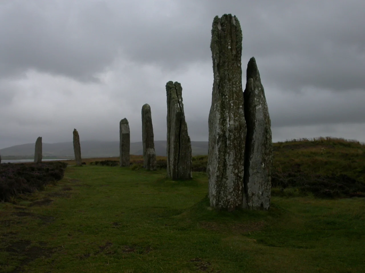 DSCN3477.JPG