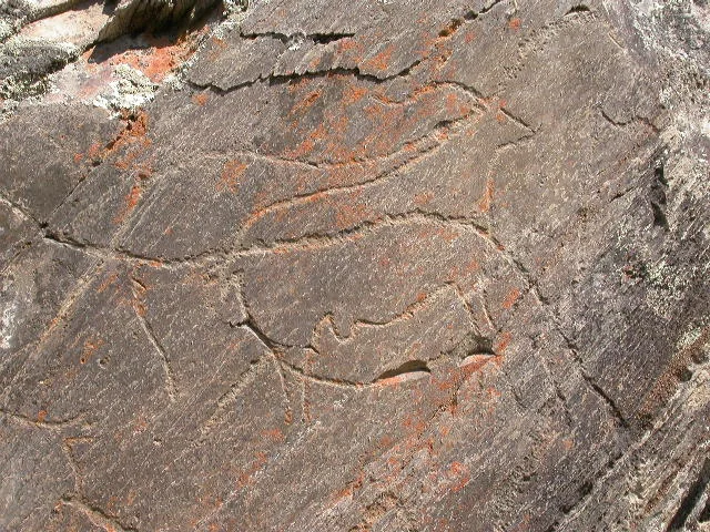 Penascalslab6ibexdetail.JPG