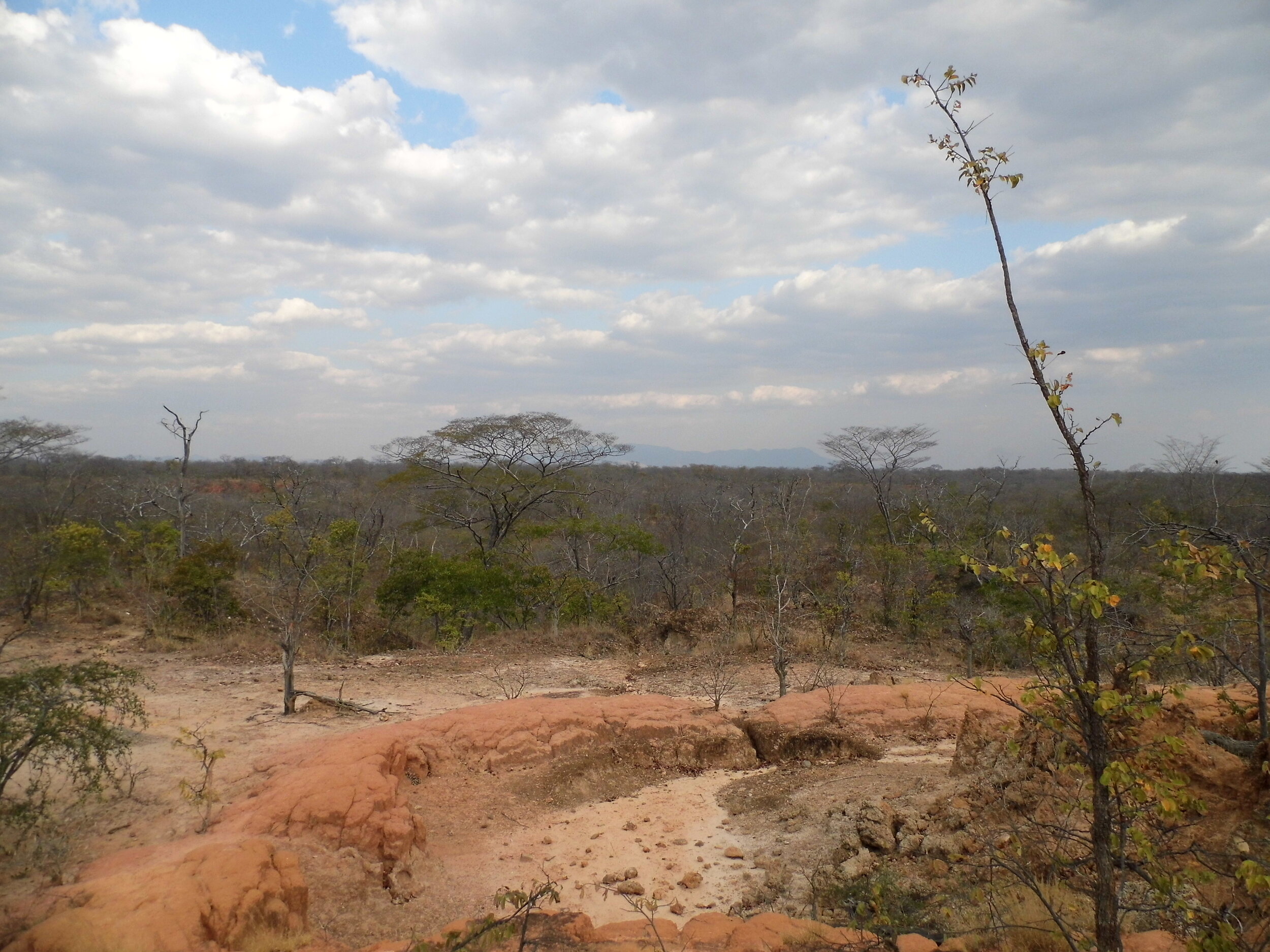 P1080435.JPG