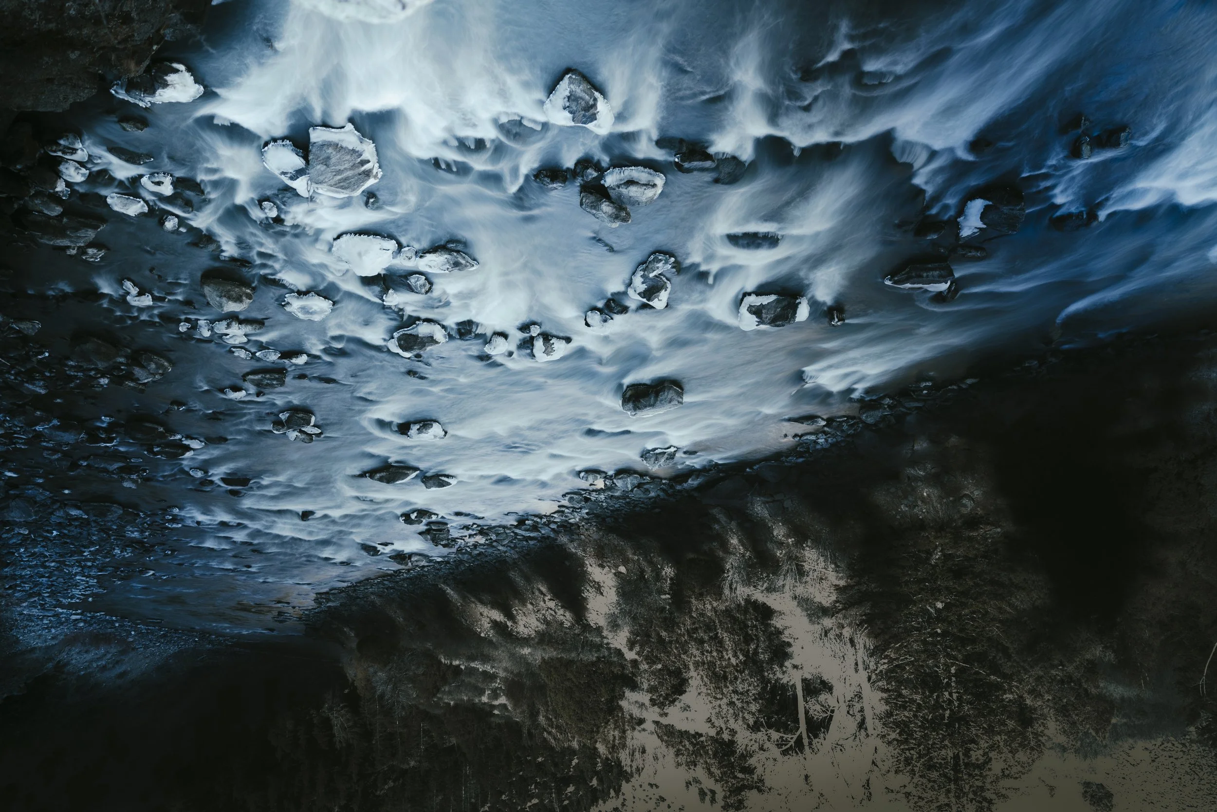 0R5A5443raw_editUPSIDE-DOWN.jpg