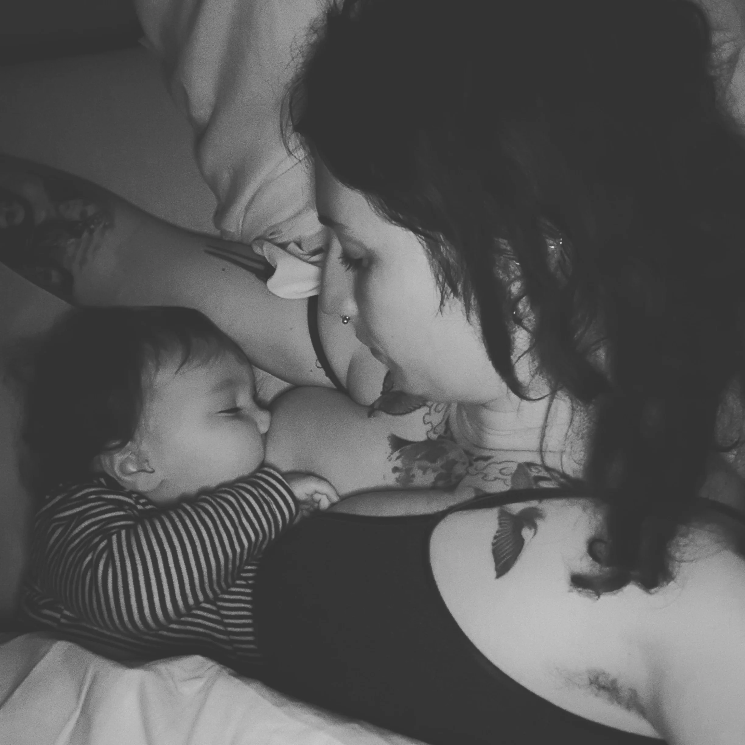 Why Bedshare? | Jenny Wren