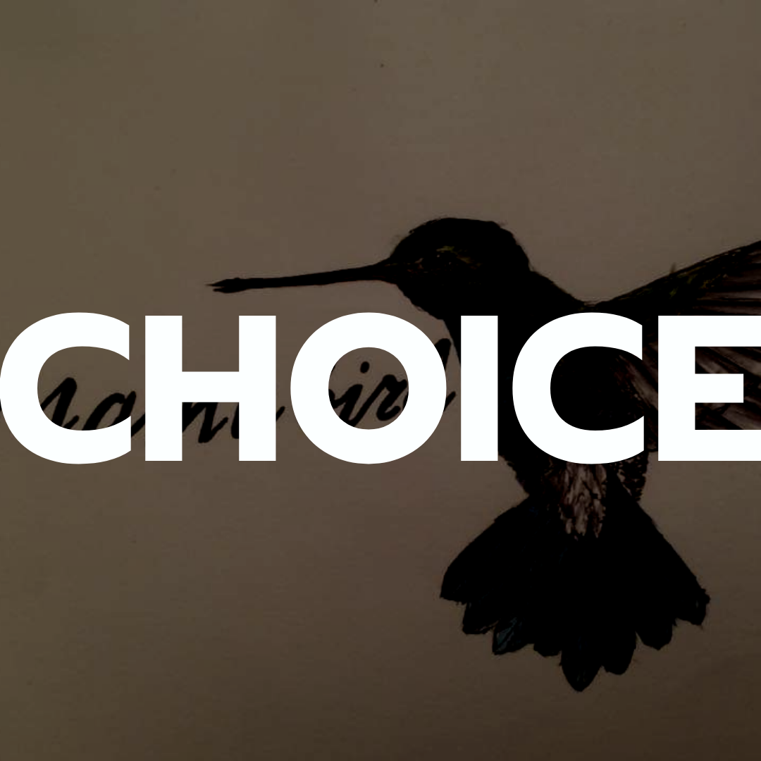 Choice | Jenny Wren
