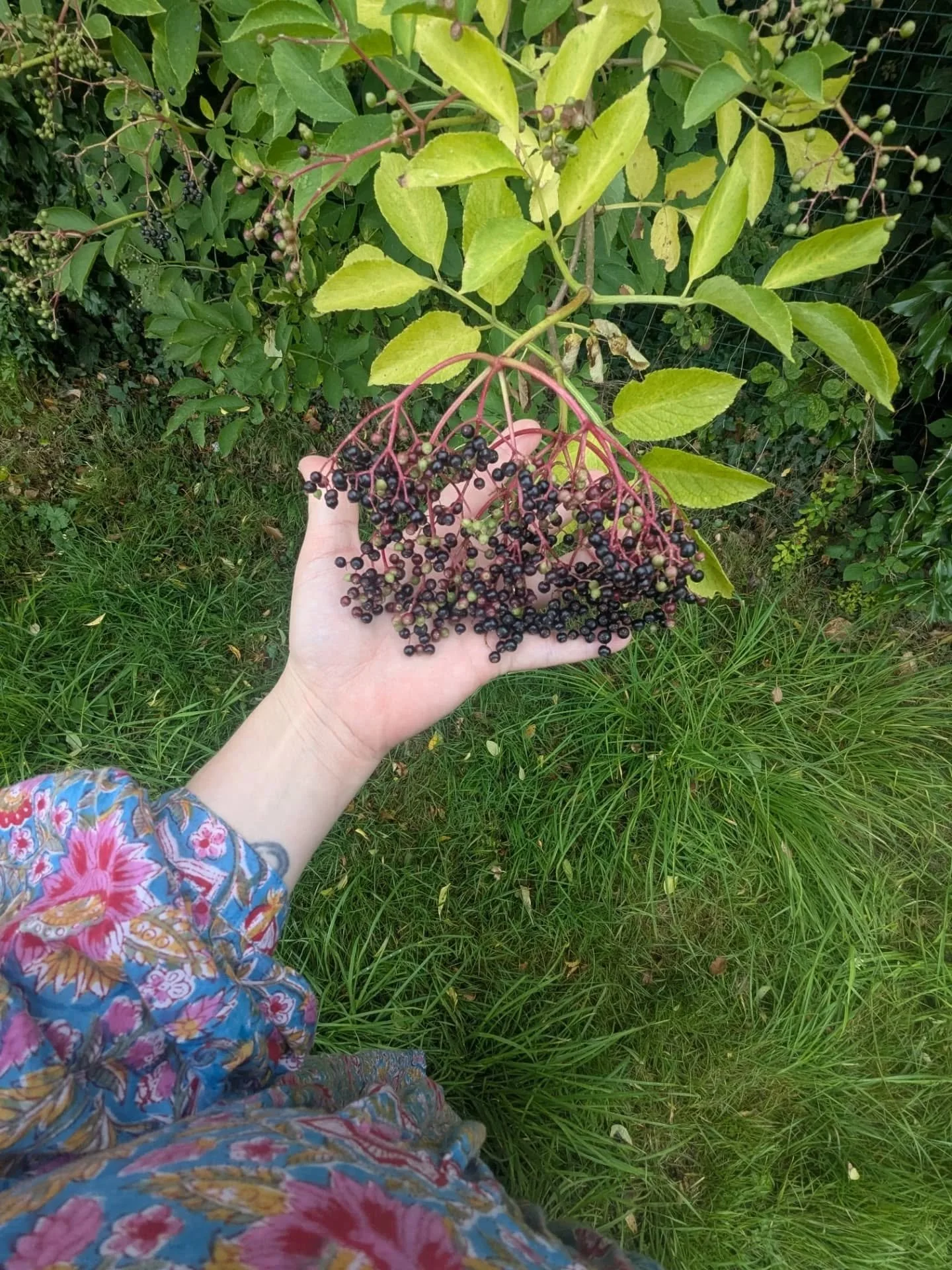 August dump. What a messy and beautiful month. Devotions coming back in slowly... Grateful for bead practices and the accessibility of mantra and repetition when intensely mothering. A friend asked me what the difference is between working as a heale