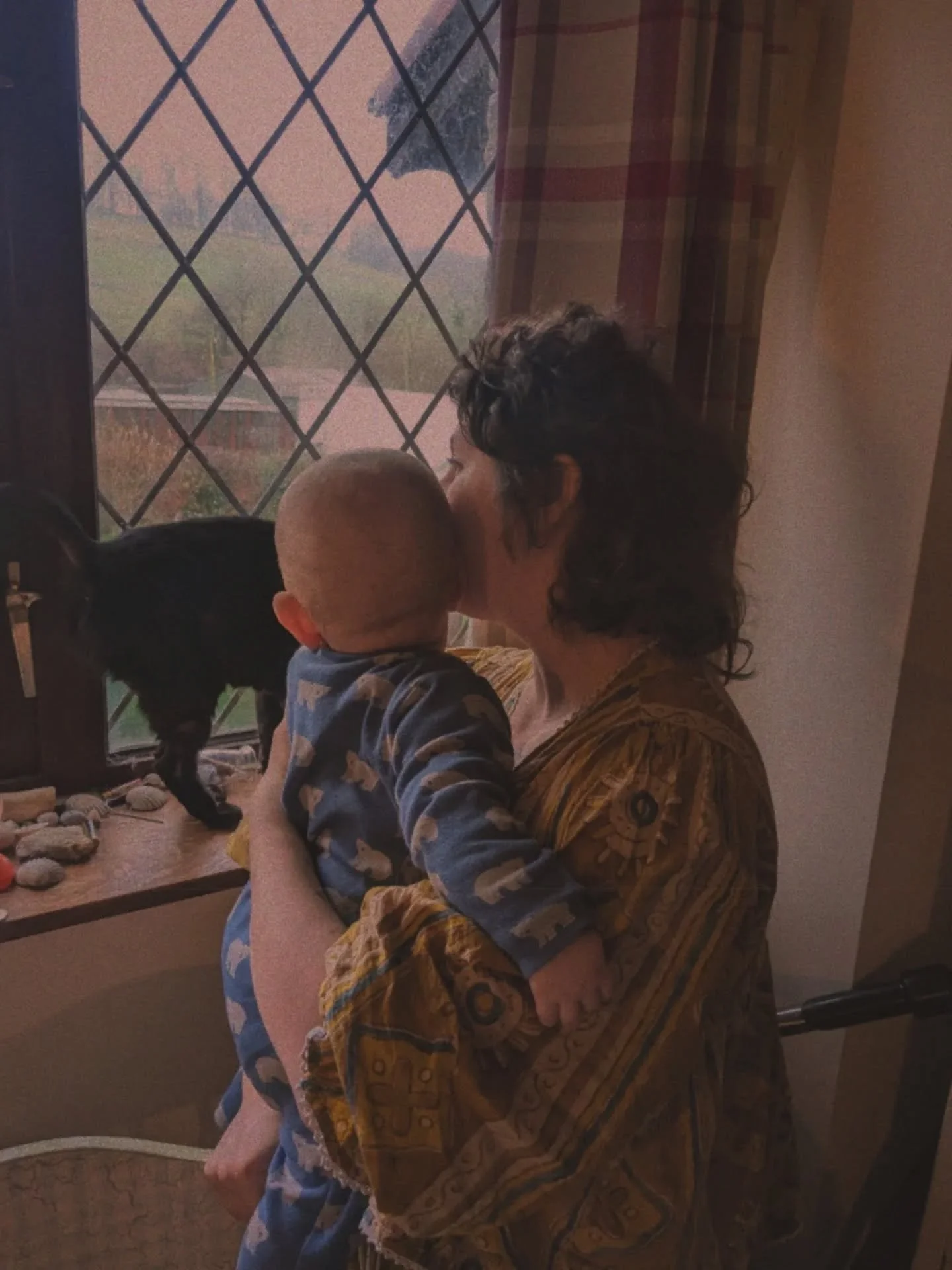 every full moon, I dream of blood.

eight months postpartum and still in limbo state, I dream my red moon dreams where I am once again part of that sisterhood of shedding.&nbsp;

it's visceral and heavy as my womb contracts and weeps.

for the last t