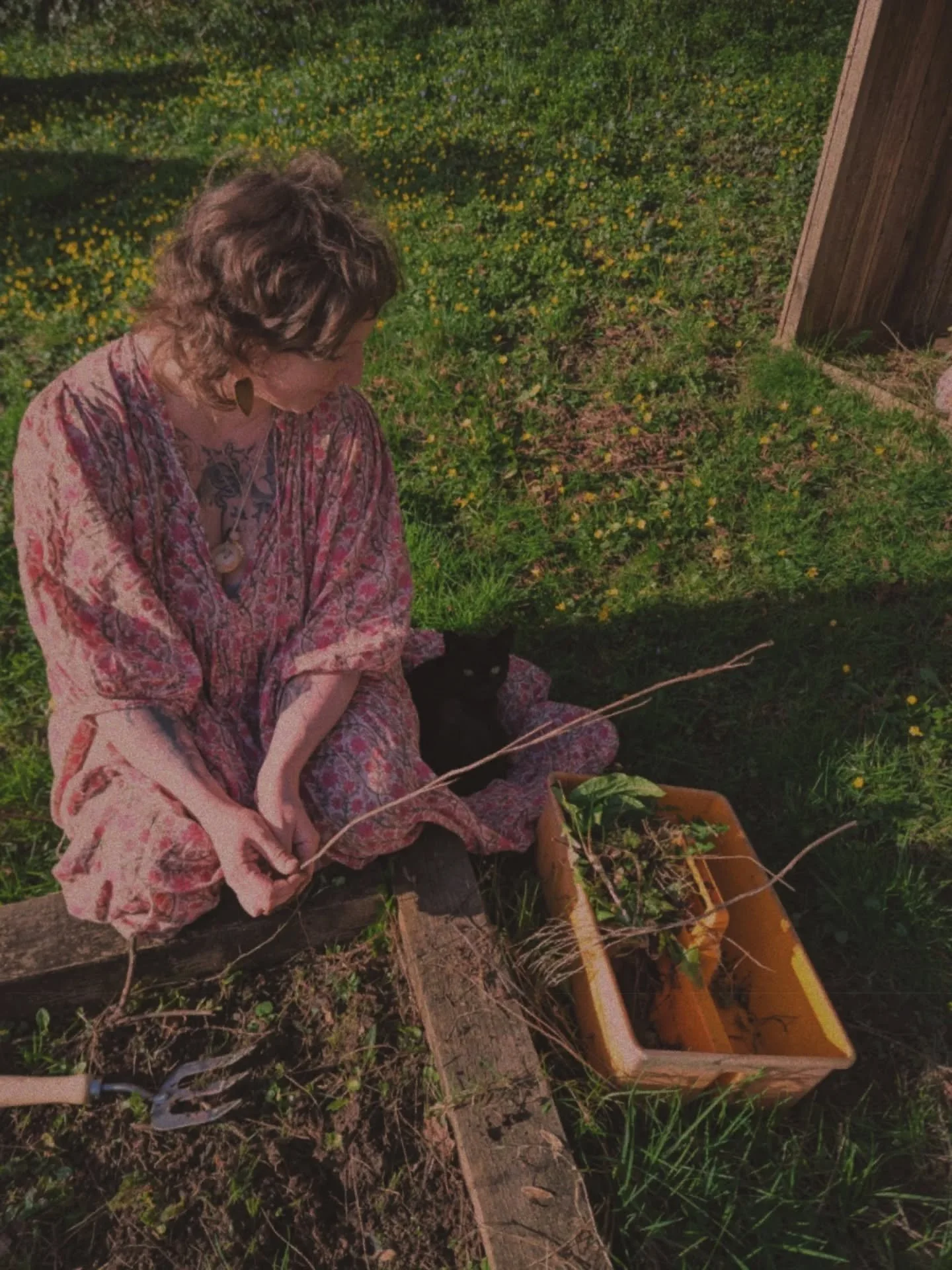 weeding the herb planters with my shadow. you know you're a mum when all the household have to stay as close to you as possible at all times.