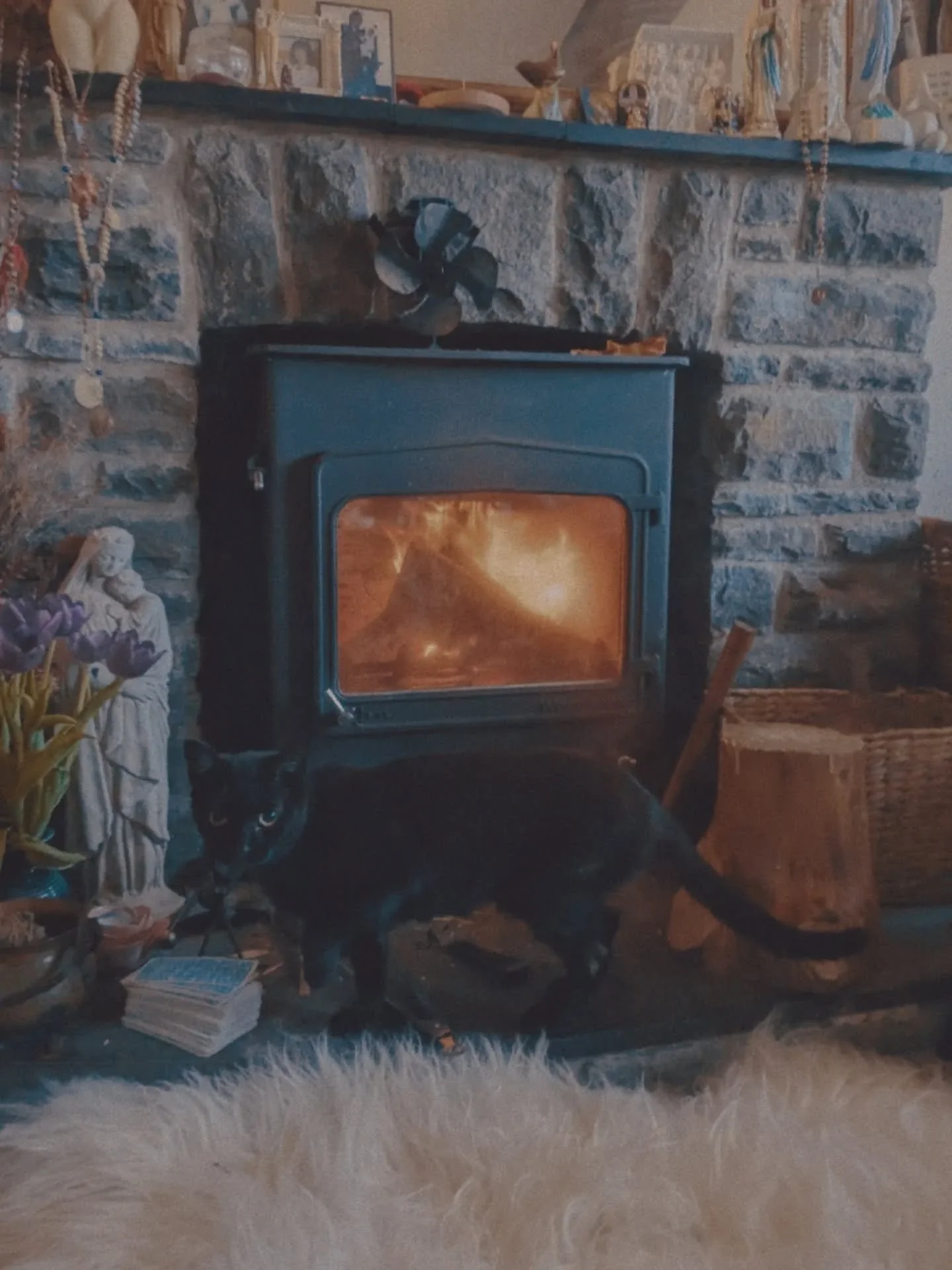 Spring Equinox in Wales.

That time of year where it's warmer outside than inside the cottage, the stone bricks still holding the cold of winter.

Life is everywhere - the two chicks that we didn't expect to hatch, the lady's mantle peeking out of la