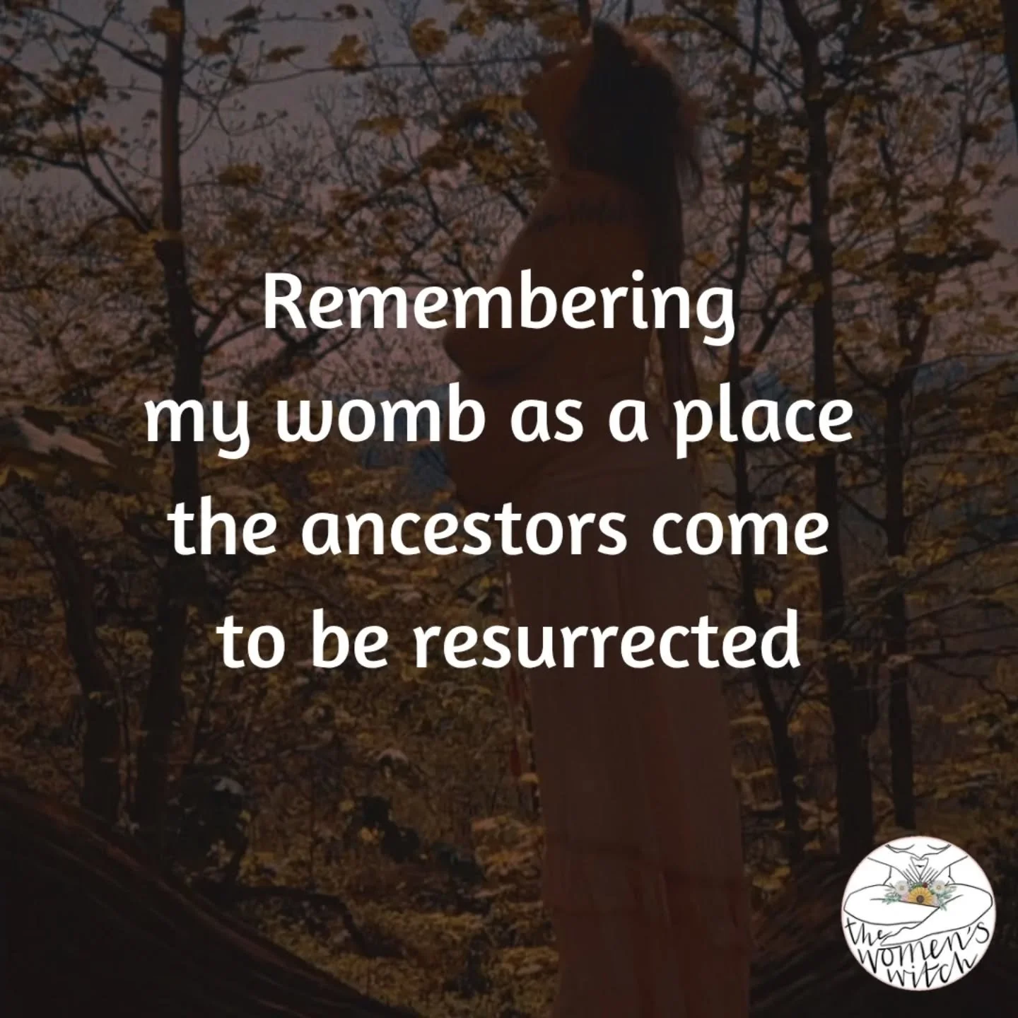 Affirmations from the womb room this morning

🌹 Remembering my womb as a place the ancestors come to be resurrected 

🌹 Remembering my womb as the fertile soil where I plant my deepest desires 

🌹 Remembering my womb as the voice of the primordial