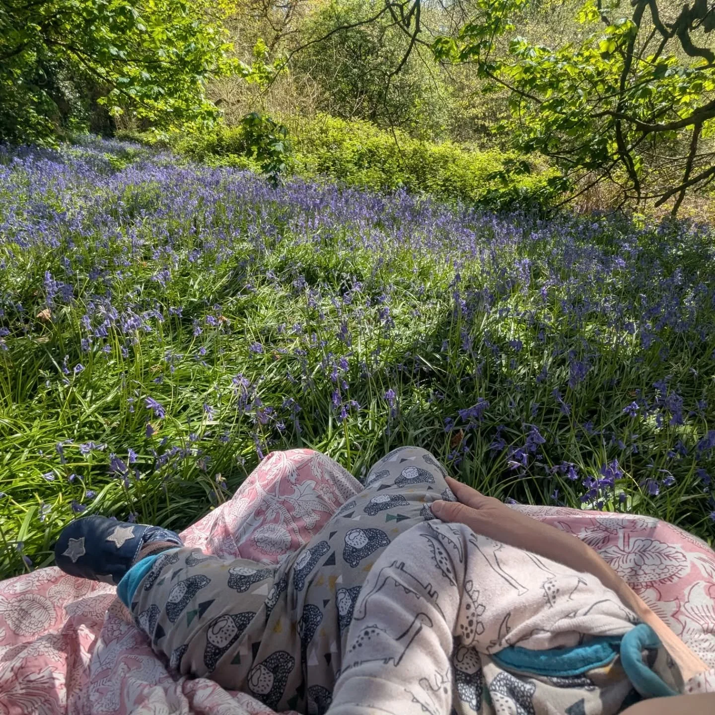 blessed new moon of bluebells 
you'll find me down the fairy way 
Wales never fails &hearts;️