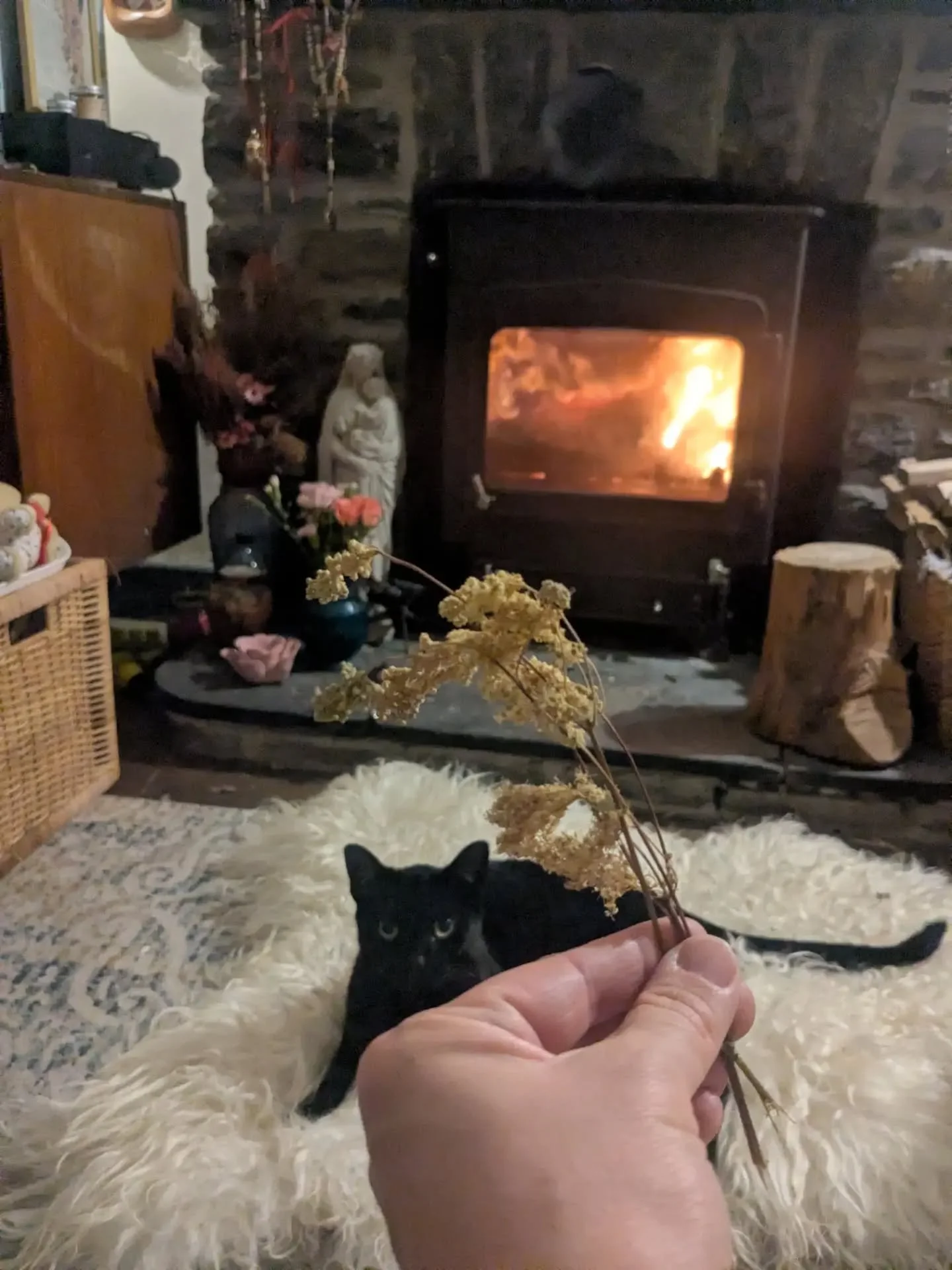 Last year @blackthornewitch shared this beautiful ritual to welcome autumn by burning meadowsweet, saying goodbye to the summer with the first fire of autumn. I enjoyed it so much last year and now here we are again. The best rituals are simple and g