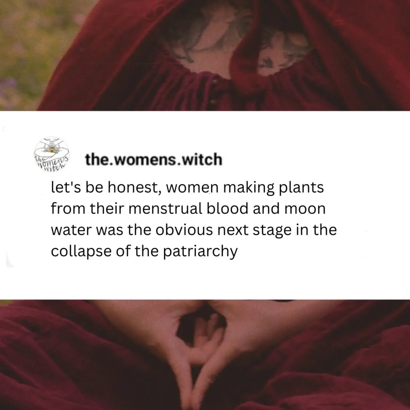 the lore of the voynich codex reached my husband in work before I did, good job witches