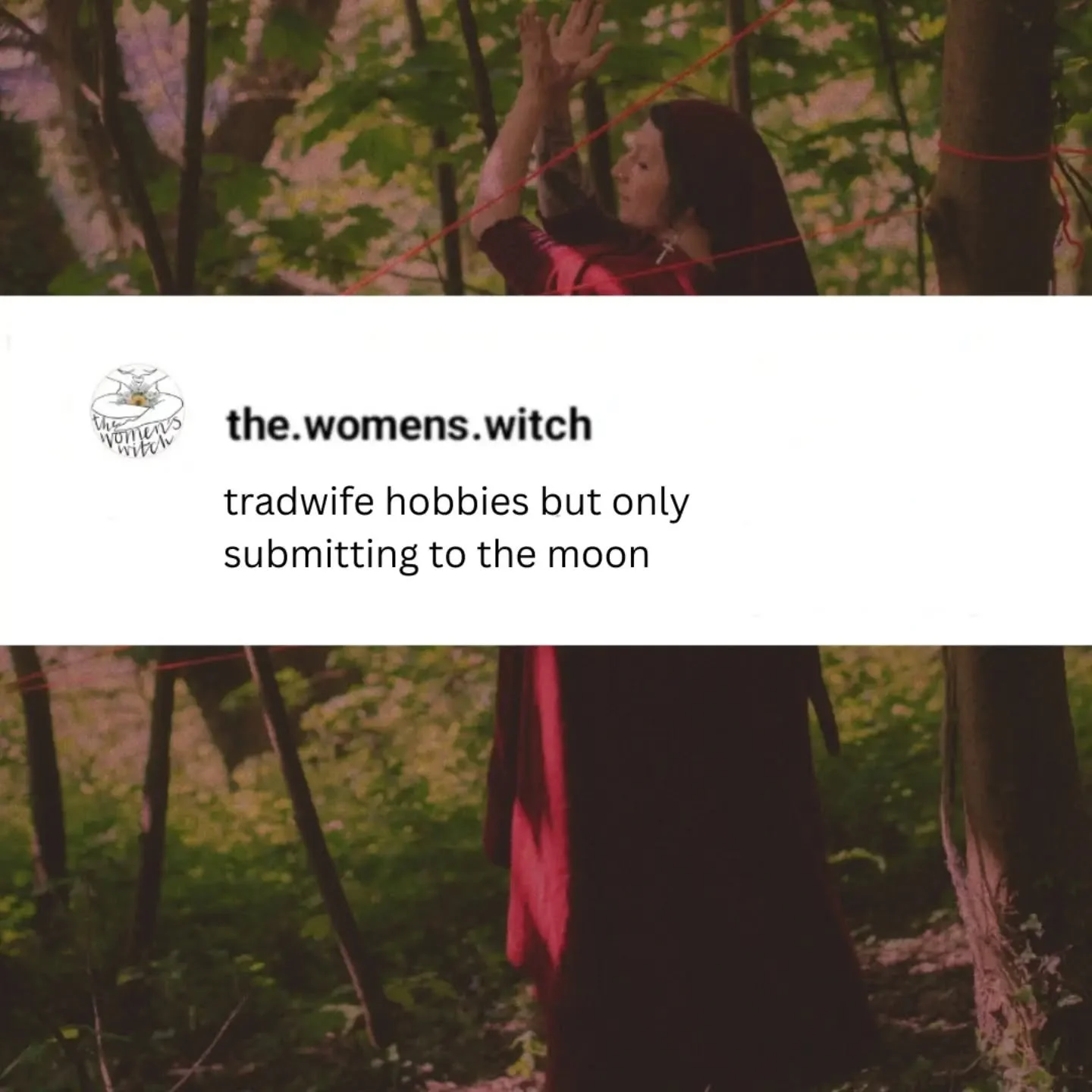 feral housewife memes for my fellow feral housewives