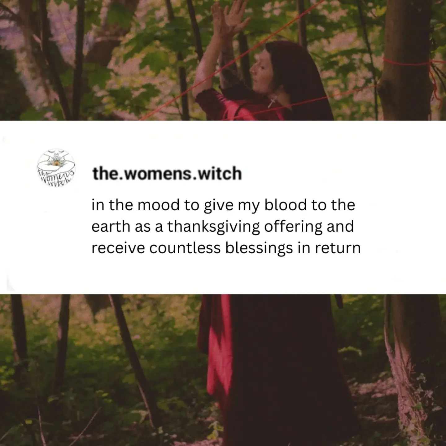 blood mystery memes from the womb room 🌹 find out more about sacred practices through my link in bio