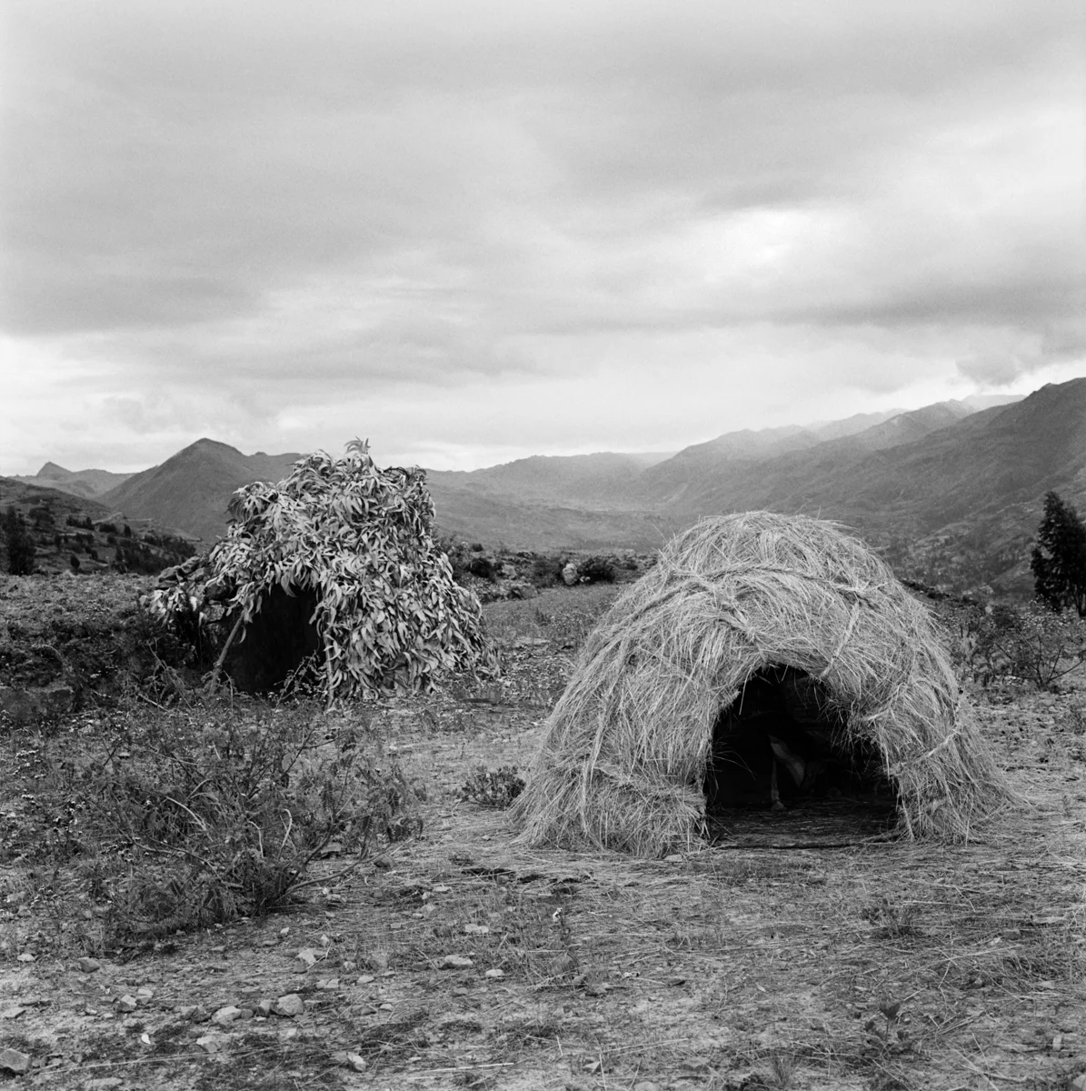 7951_187_1_Peru_1981.jpg