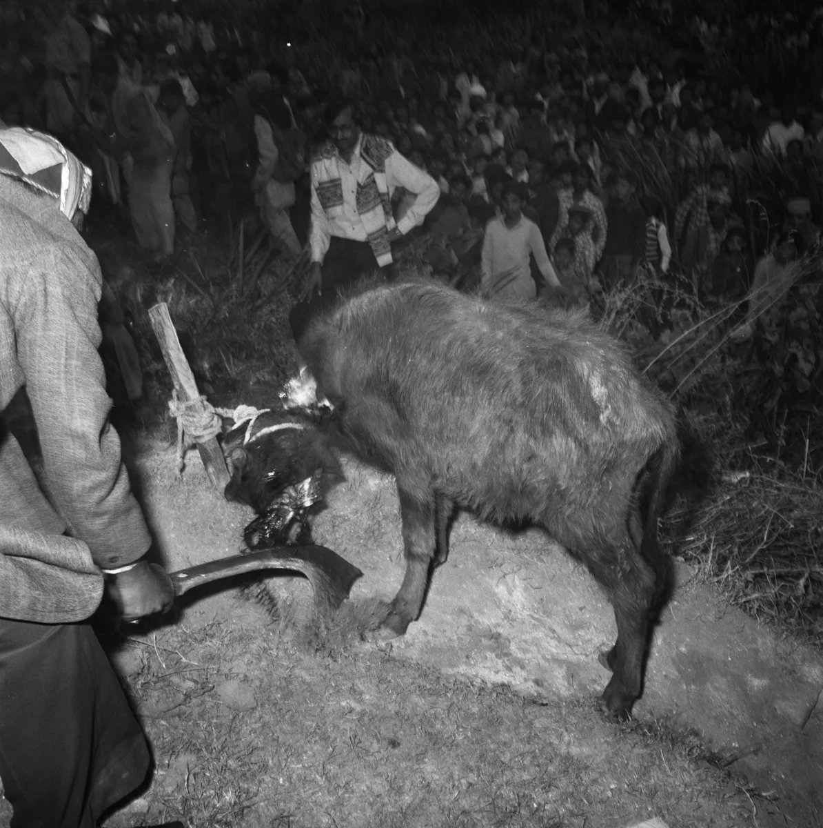 7953_2_5_India_1981.jpg