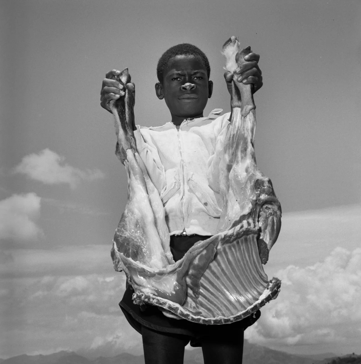 7998_2_7_Haiti_1985.jpg