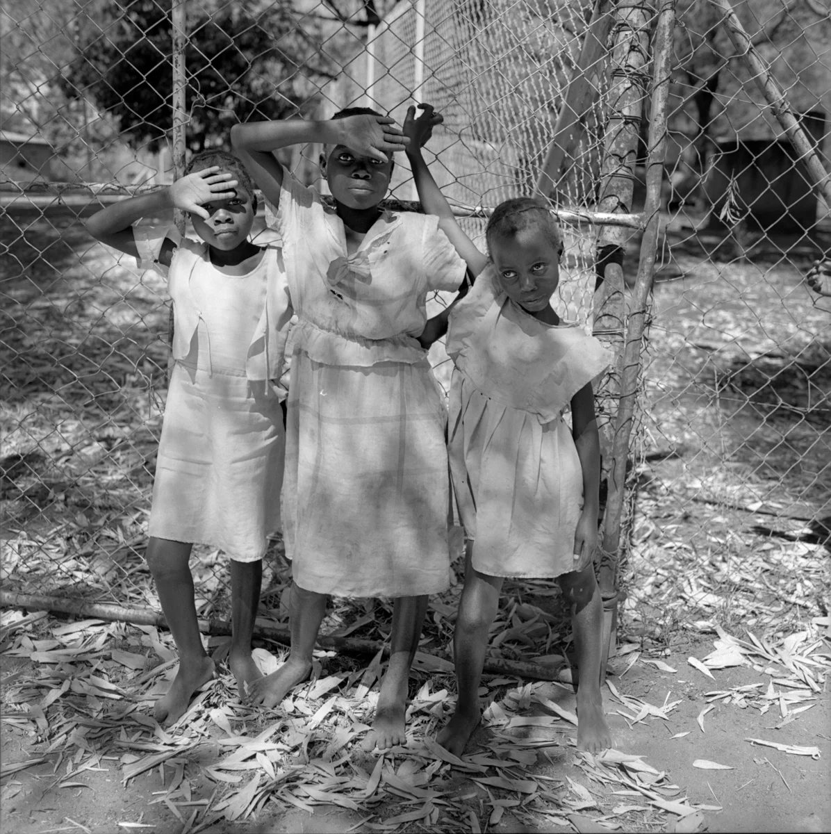 8905_1A_14_Zimbabwe_1988.jpg
