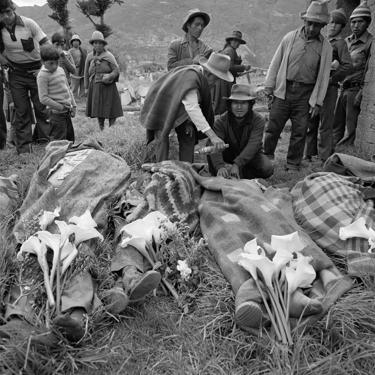 7951_4_6_Peru_1981.jpg
