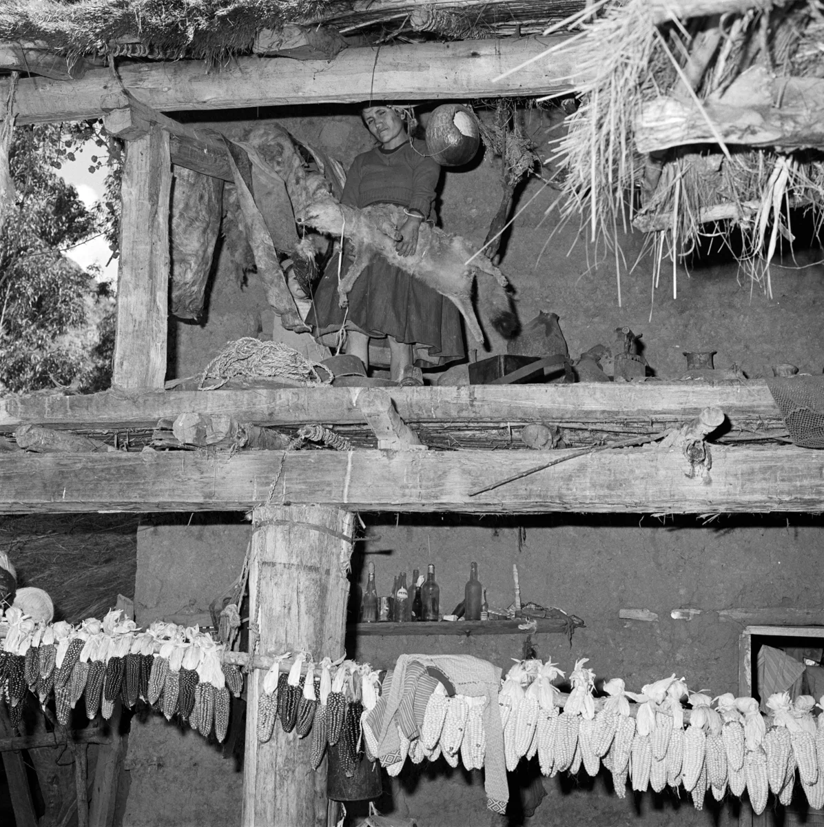 7951_178_6_Peru_1980.jpg