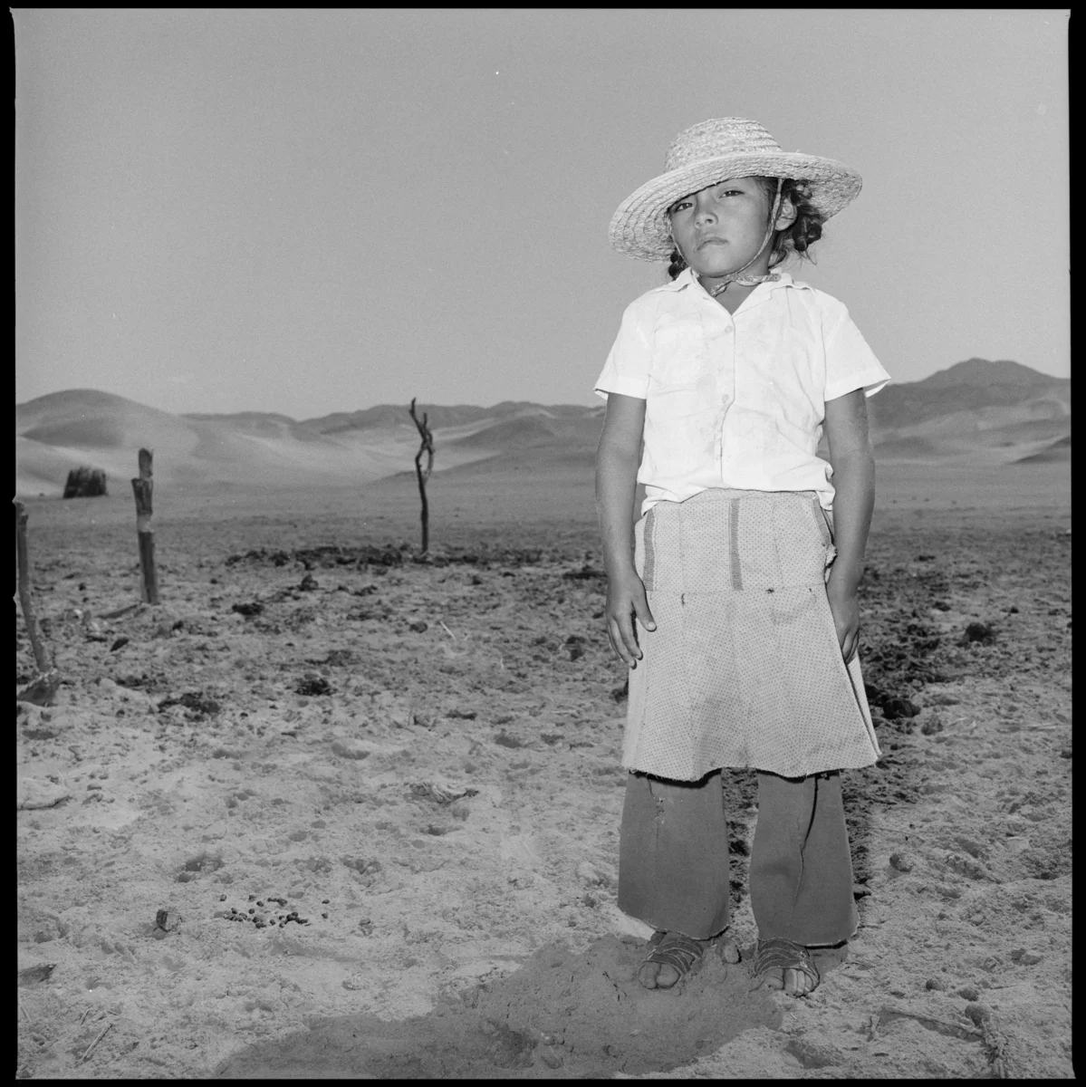 7954_9_5_Peru_1982.jpg