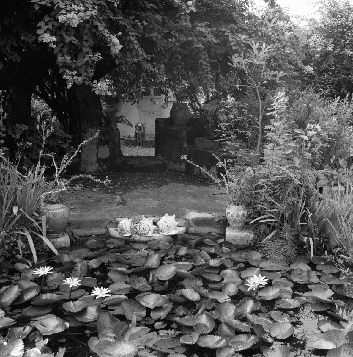 7968_110_5_India_1983.jpg