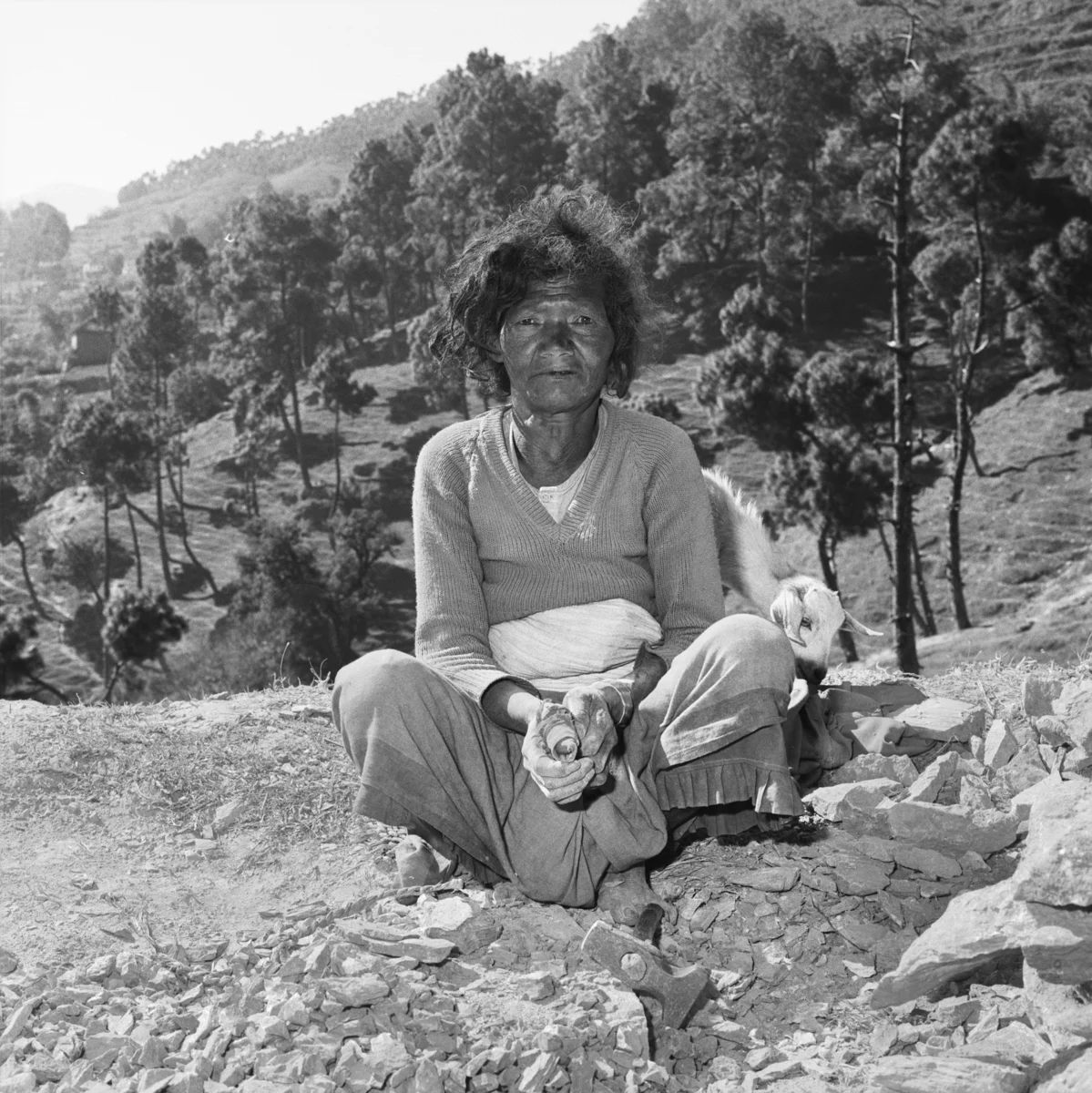 7979_158_7_Nepal_1985.jpg
